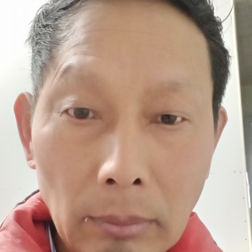 小猫咪演变感动的照片