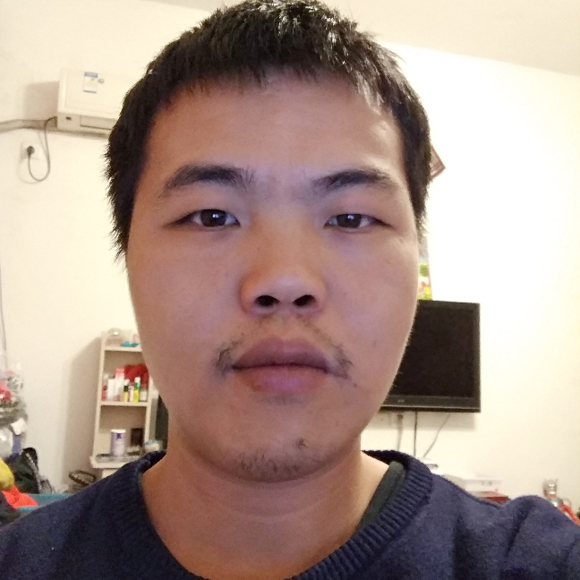 坚定蜗牛的照片