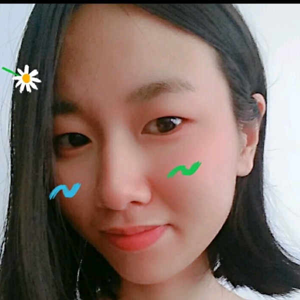 秋天自由的燕子的照片