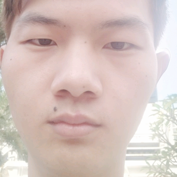 梦影的背后的照片