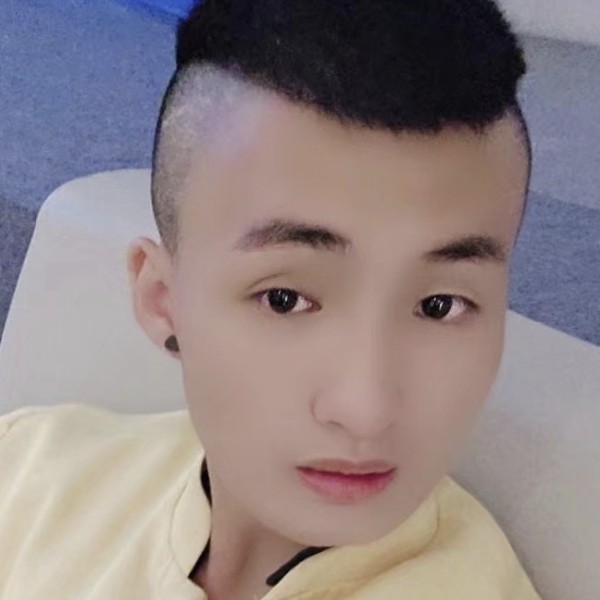 高贵停止夏天的照片