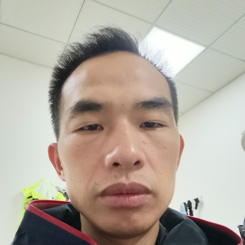 像风一样自由？的照片
