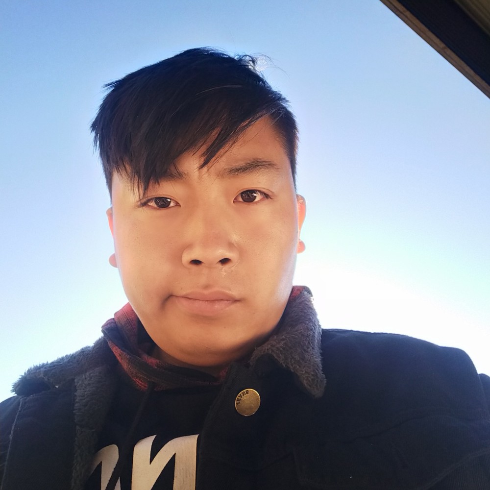情不为因果的照片