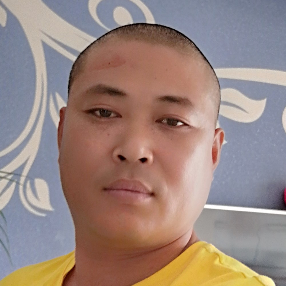 玫瑰蹙眉鲤鱼的照片