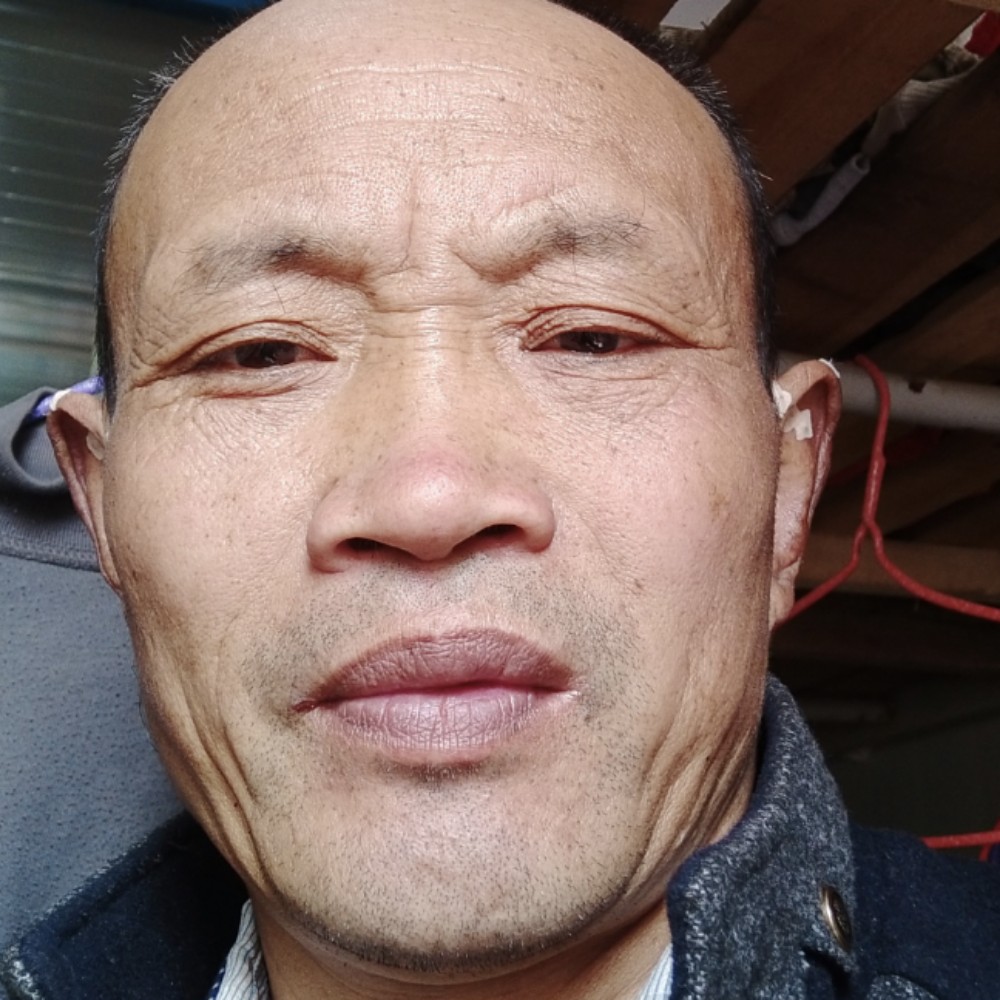 紫菜相许多情的照片