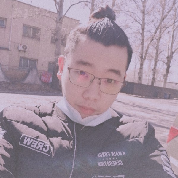 林间野兔的照片
