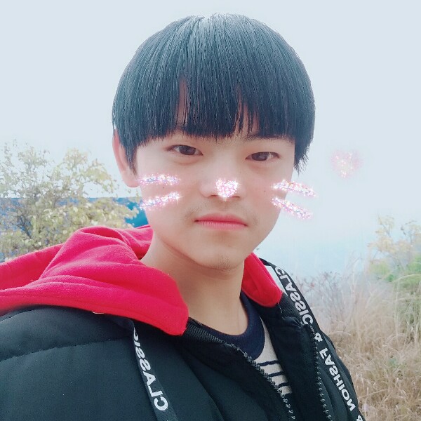 凉笙的苹果的照片