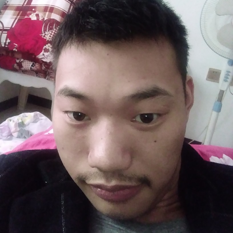含羞草就柔弱的照片