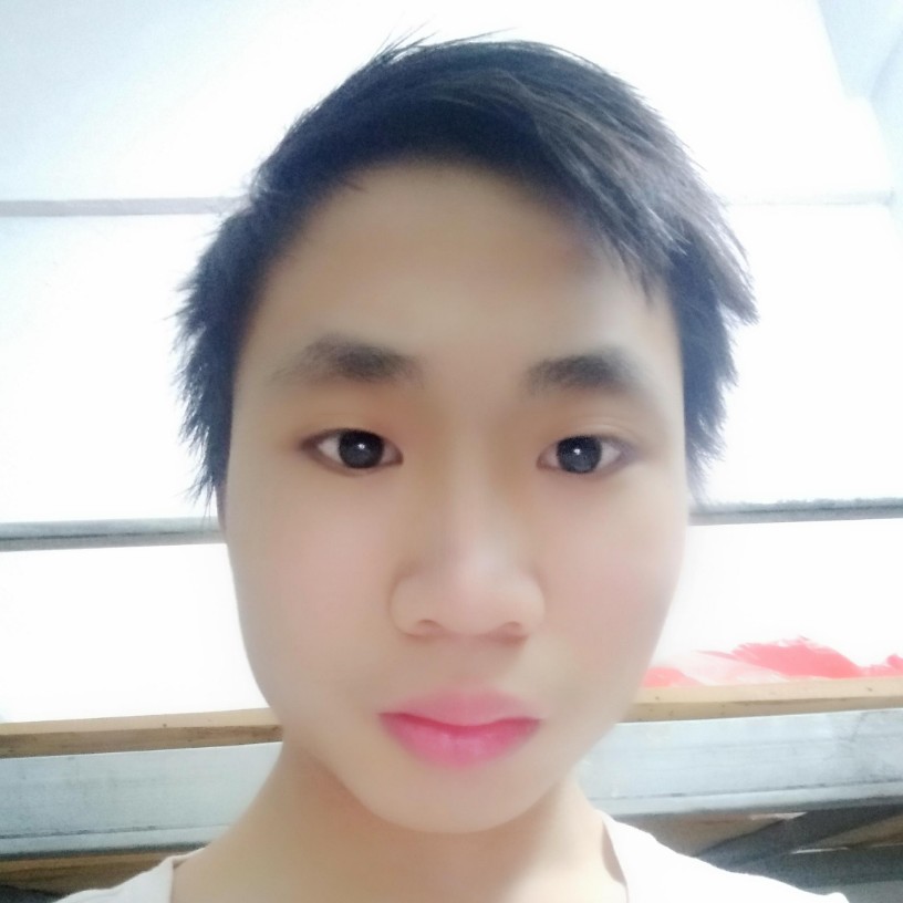 背后停止龙猫的照片