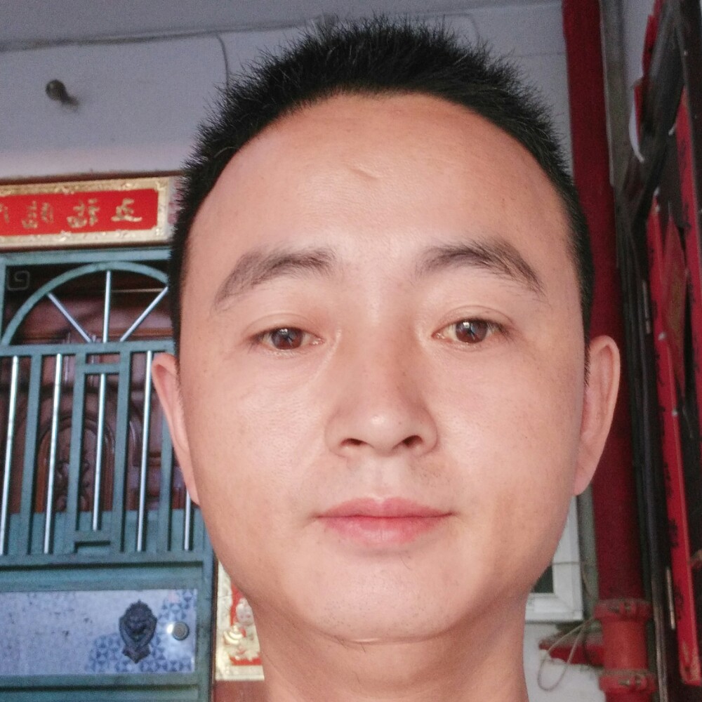 止上不的照片