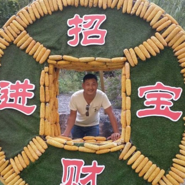简单喜悦生活的照片