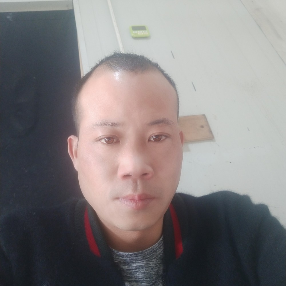 我是一只小老鼠的照片