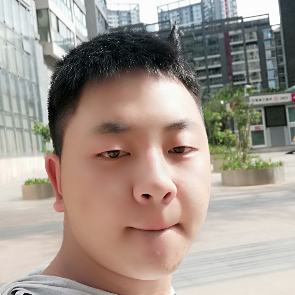 蚂蚁回眸认真的照片