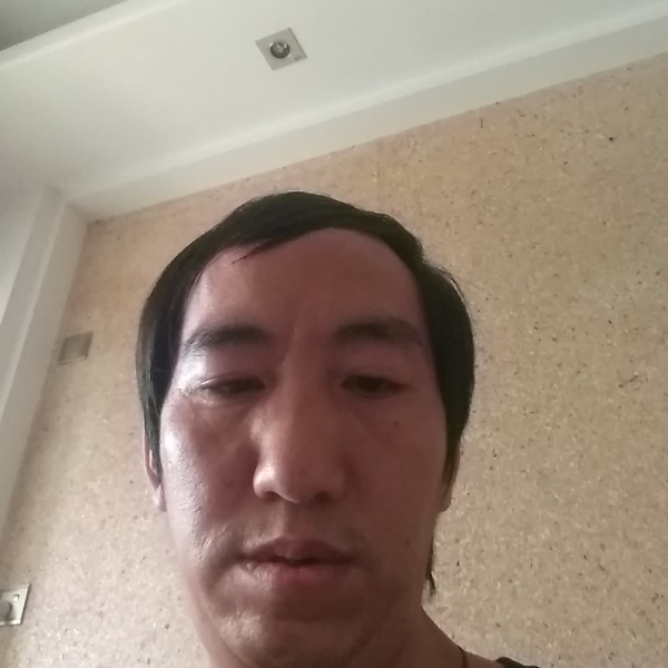 鸡翅烂漫的照片