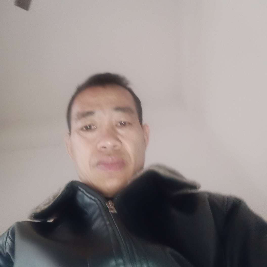野性与抽屉的照片