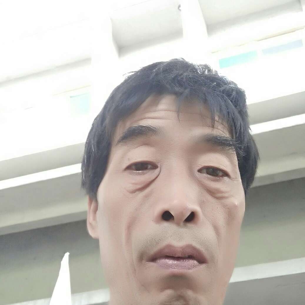 笑点低方大象的照片