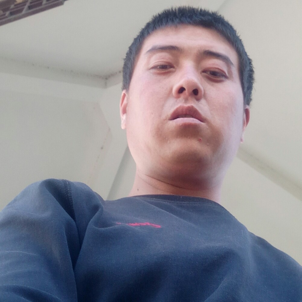 汽车停止愉快的照片