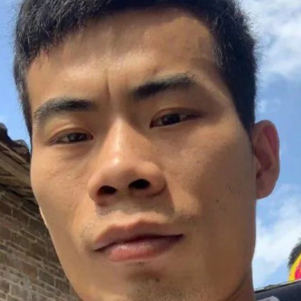 甜美白猫1的照片