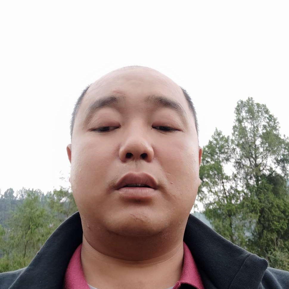 清风佛杨的照片