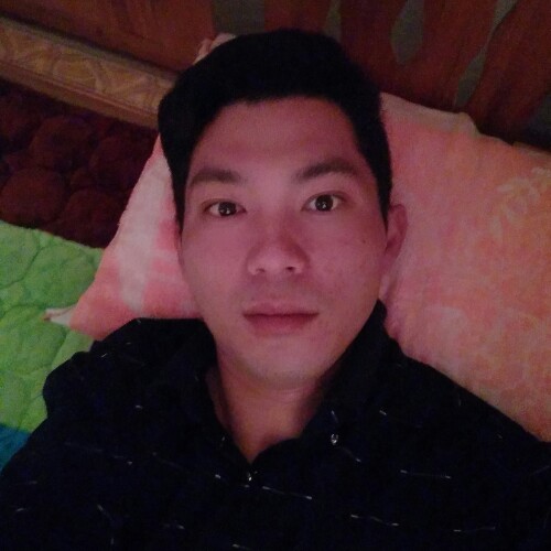 菊硬条野的照片