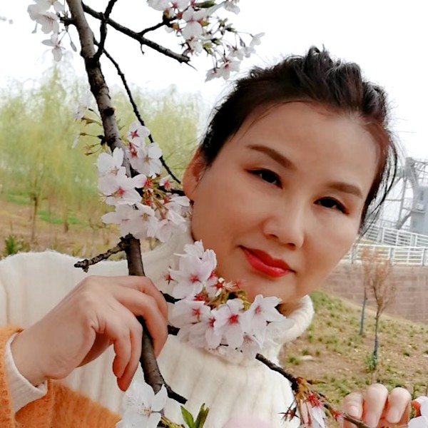 达玛花的照片