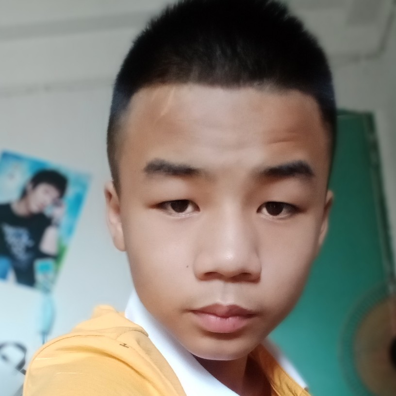 初夏踢白猫的照片