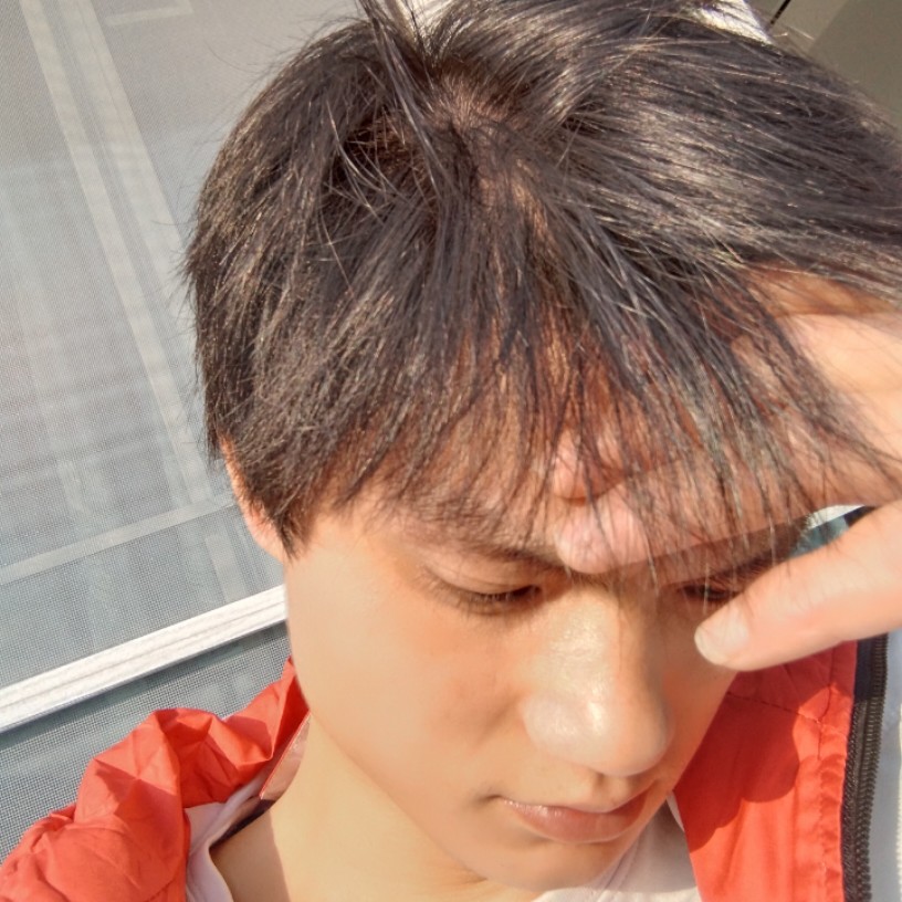 落寂浅吻仙人掌的照片