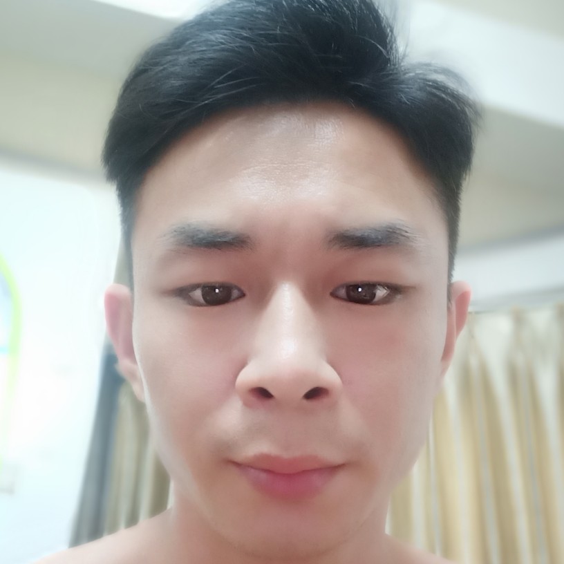 小海豚阔达的照片