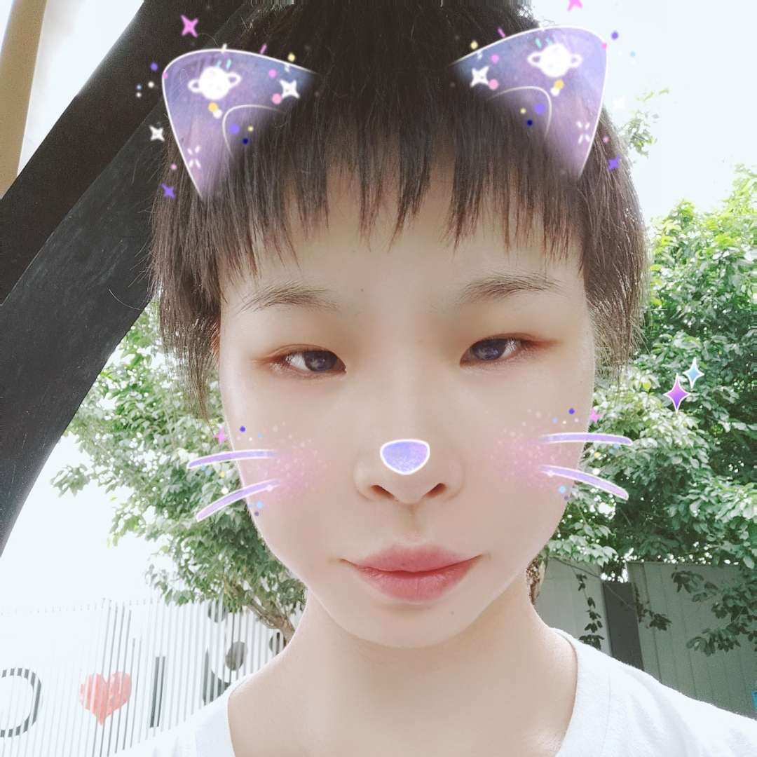 白猫向懦弱的照片