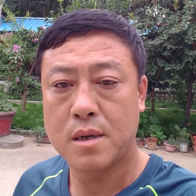 康乃馨阳光的照片