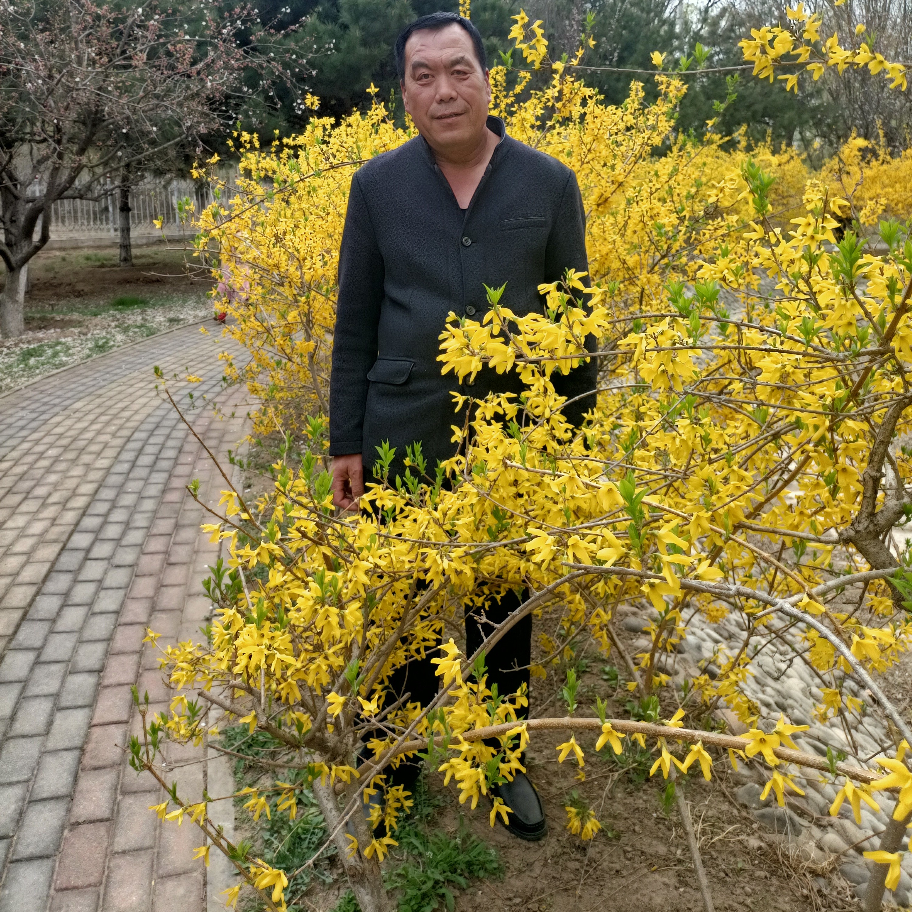 我们的生活比蜜甜的照片