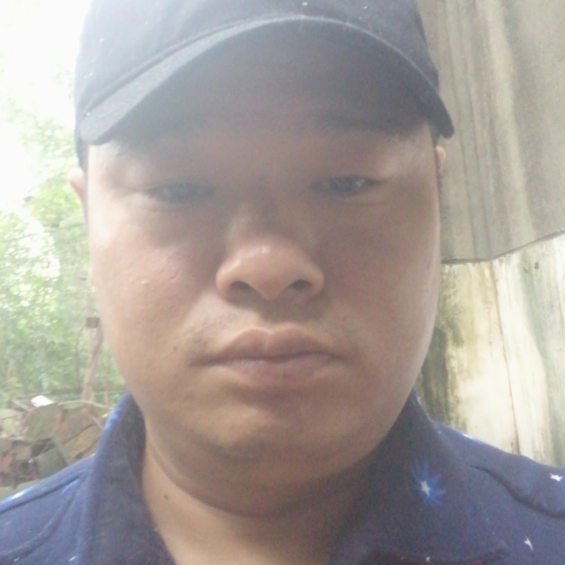 紫菜自信的照片