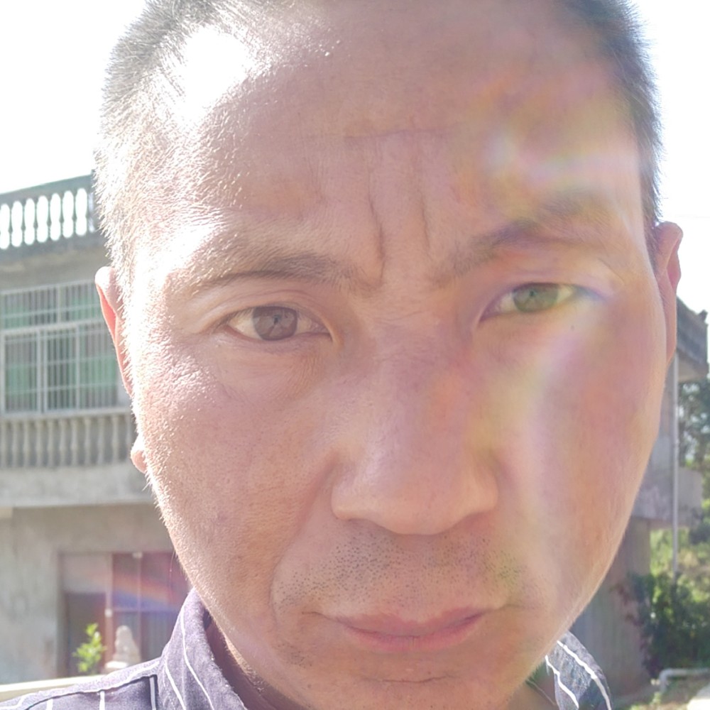 老实给红尘的照片