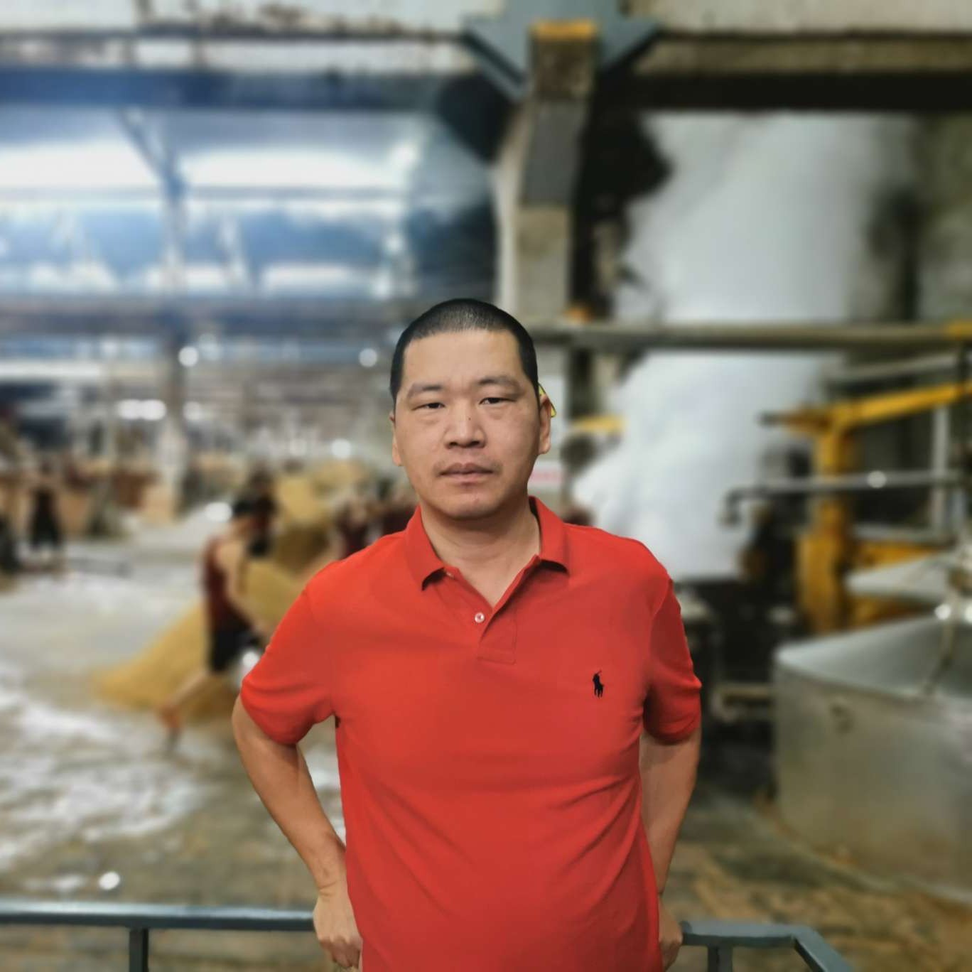 开心狗狗的照片