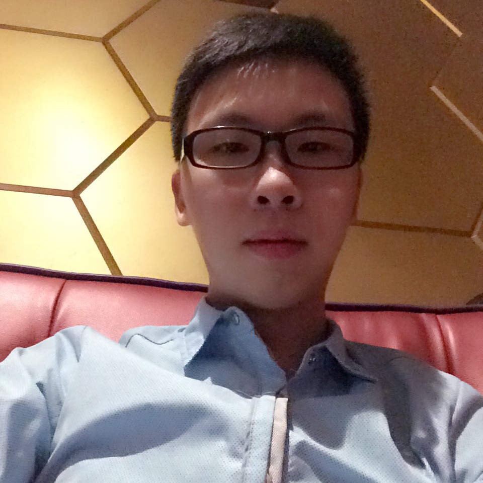 叶落无花的照片