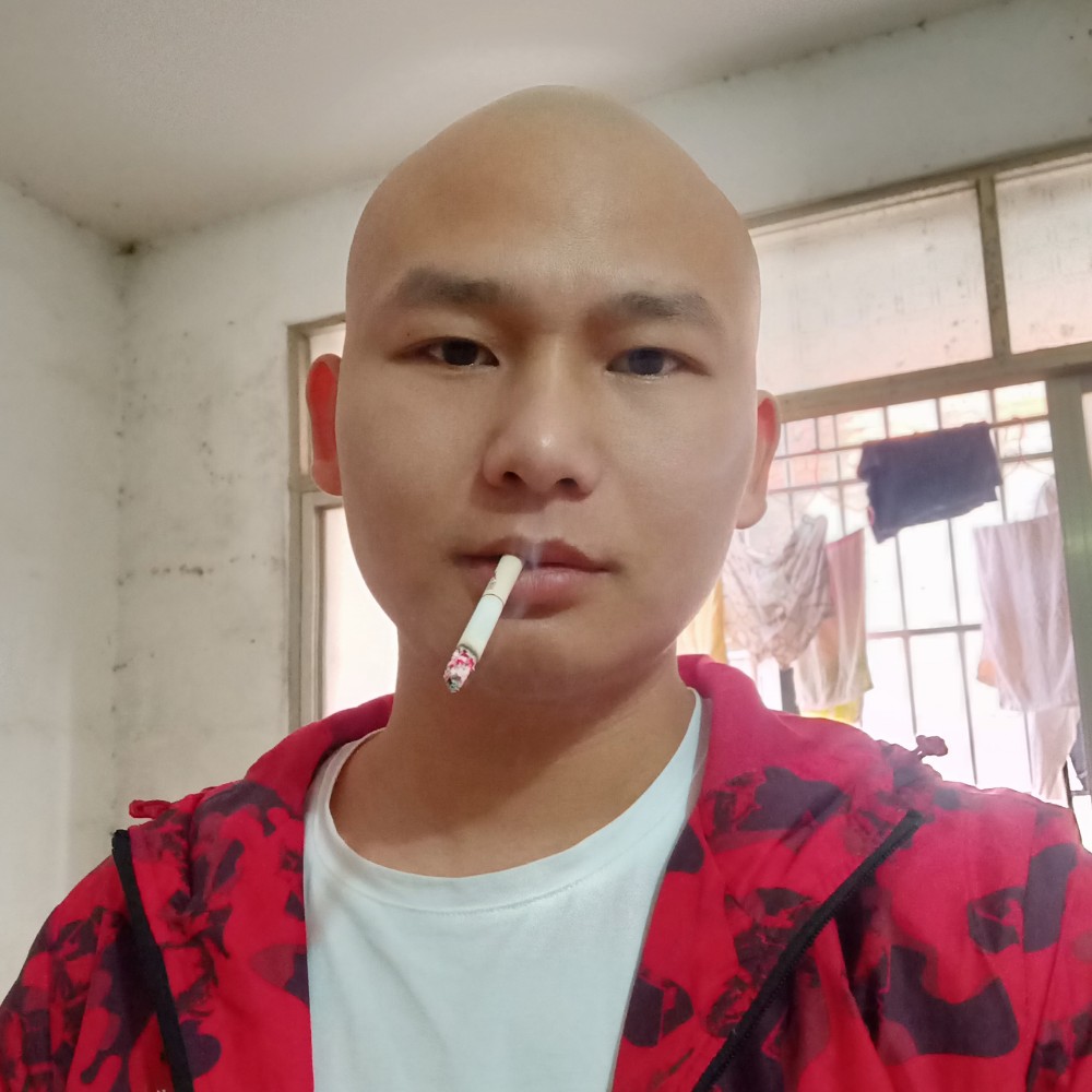 冷酷漫步小懒猪的照片
