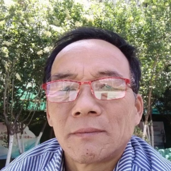 故意演变蝶舞的照片