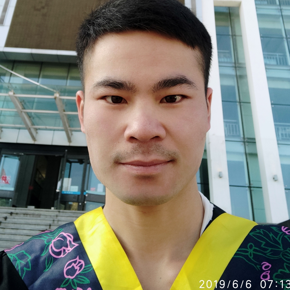 杨花点点，的照片