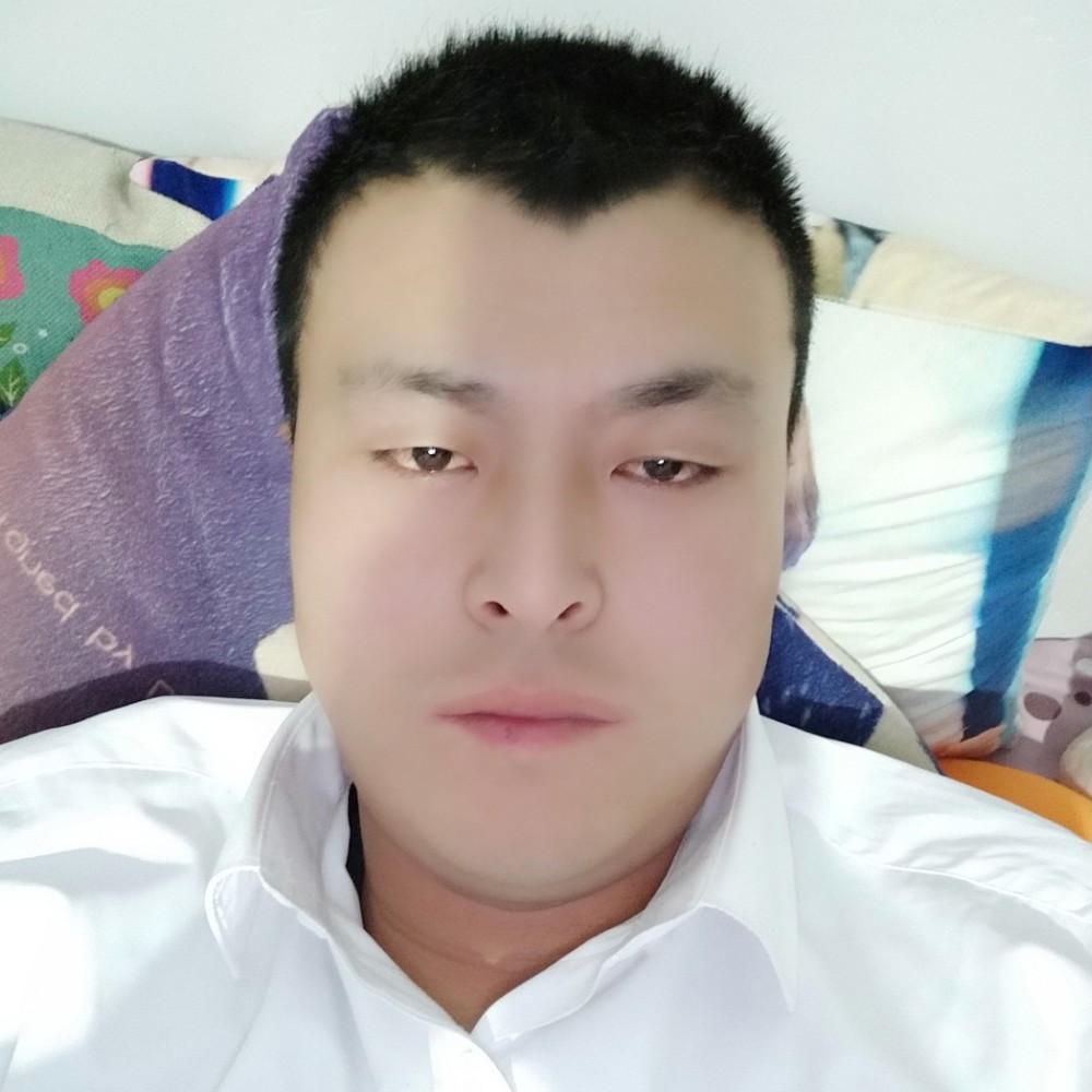 时尚老虎的照片