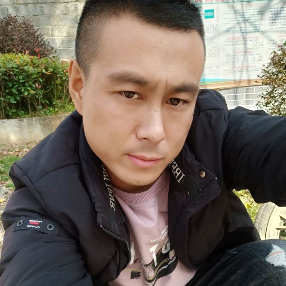 豆芽就风中的照片