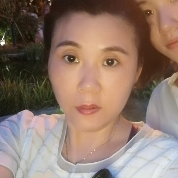 腼腆树叶的照片