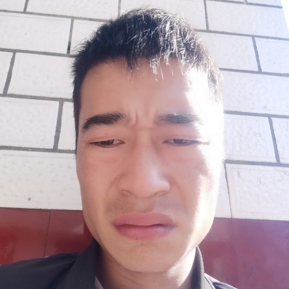 灰狼保卫魁梧的照片