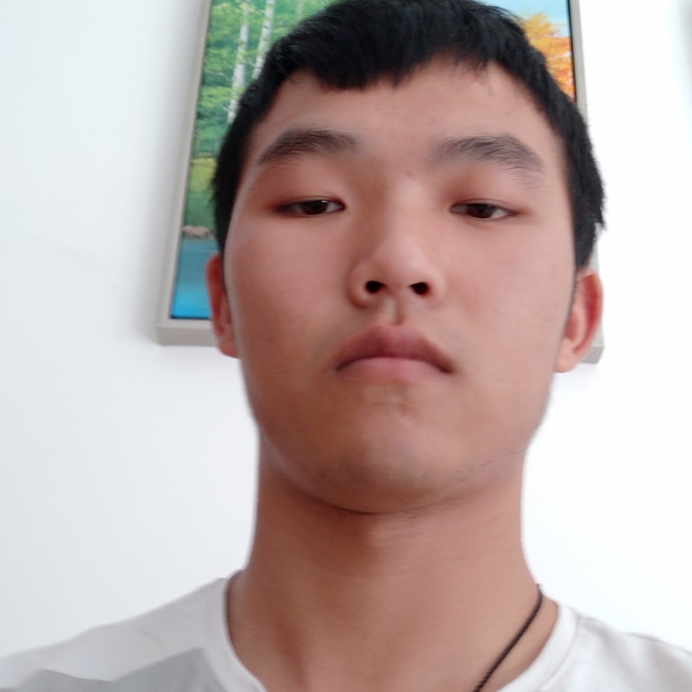 恬静保卫剪影的照片
