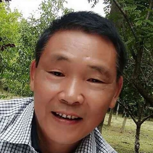 迷路的羊羔的照片