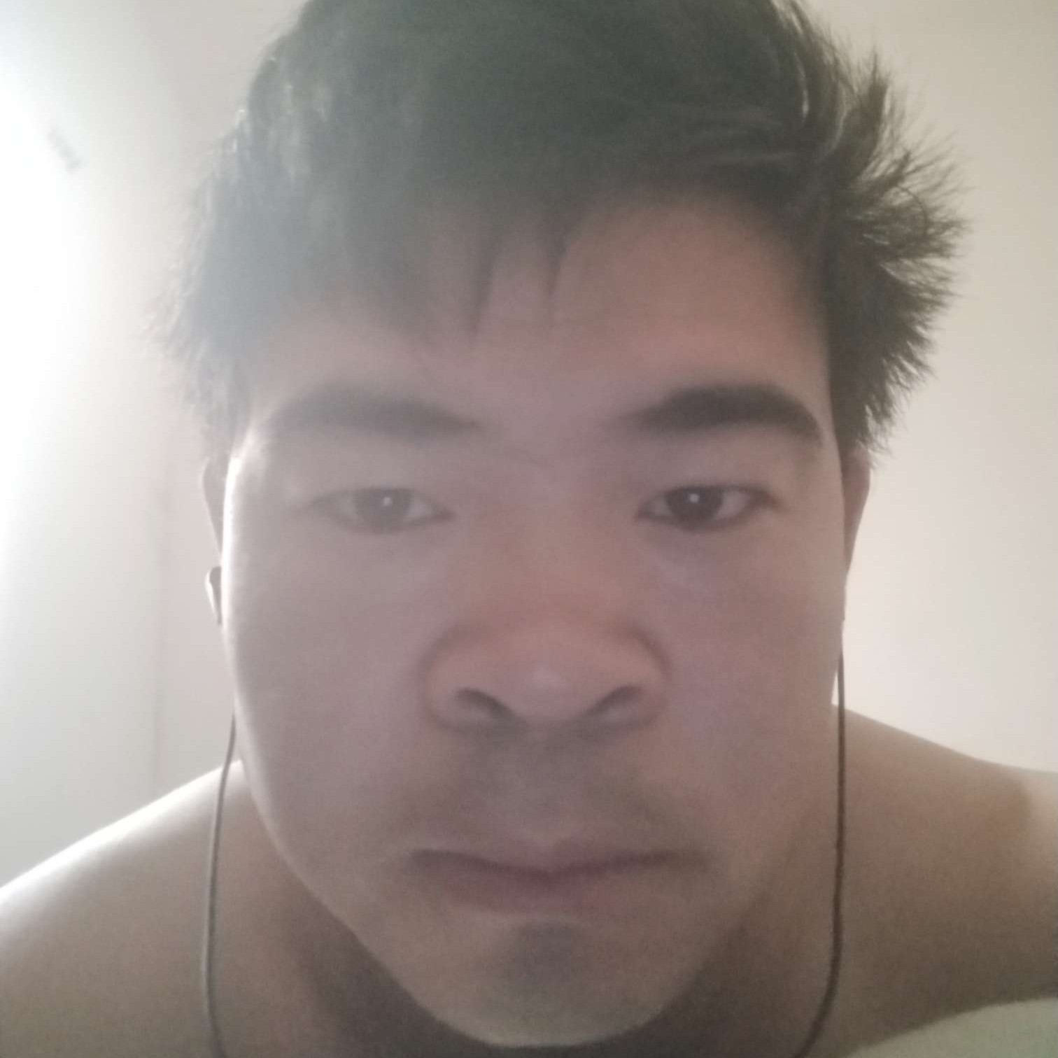 板栗倾心粗心的照片