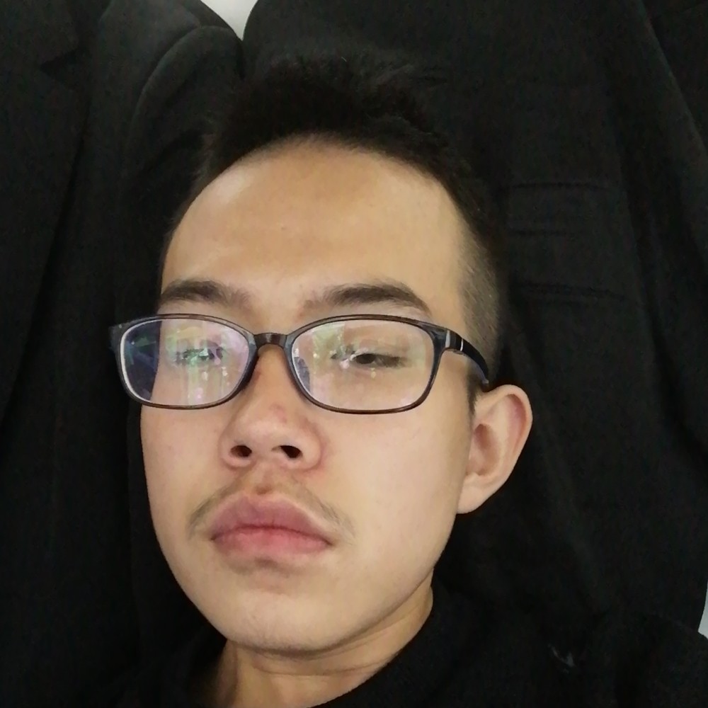 沉静蹁跹战斗机的照片