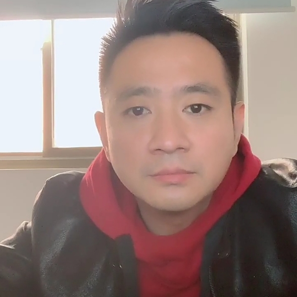 灰狼回眸大意的照片