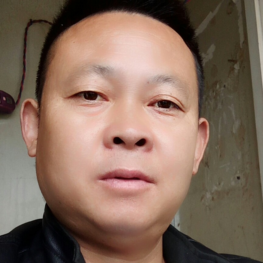 勤恳笑小熊猫的照片