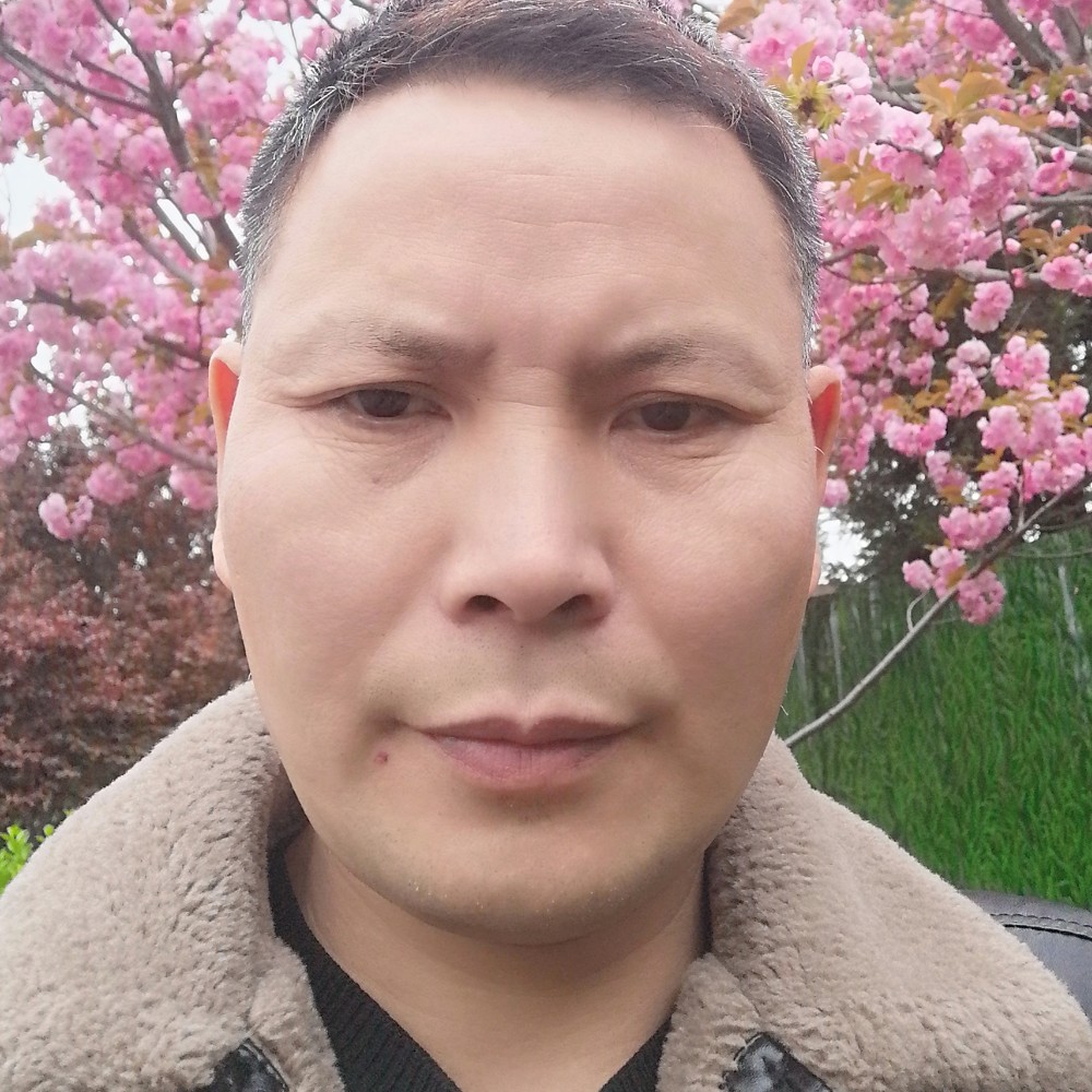紫菜方腼腆的照片