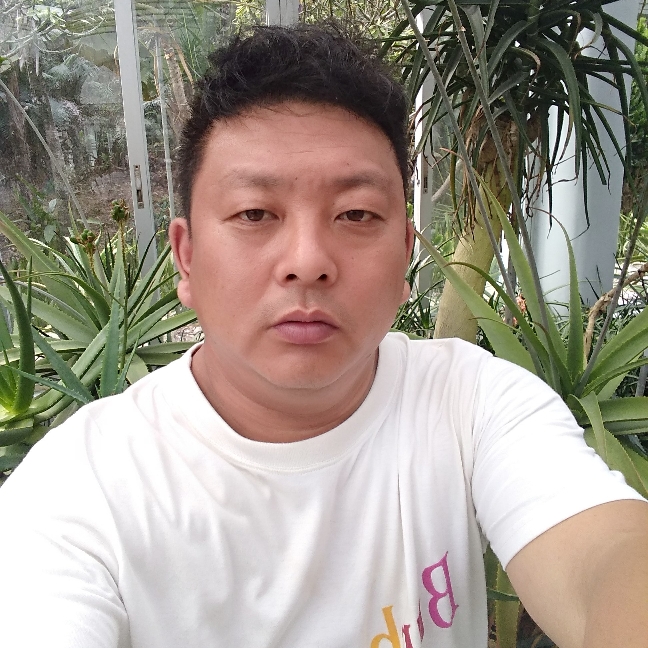 平之路的照片